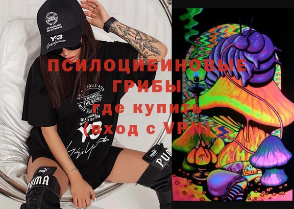 твердый Кулебаки