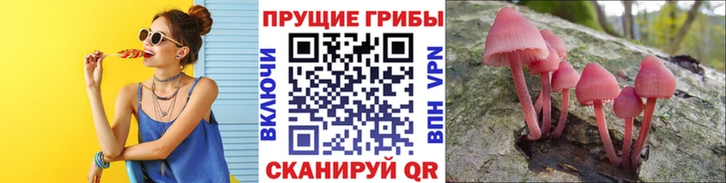 Галлюциногенные грибы прущие грибы  ОМГ ОМГ сайт  Ессентукская 
